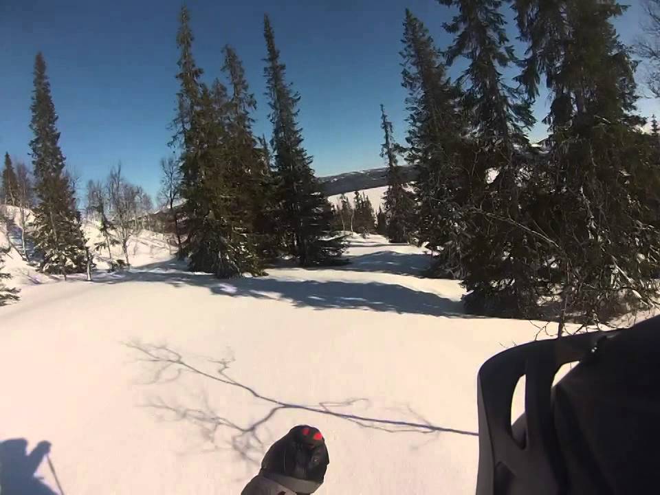Baksidan av Mesklumpen 16/3 2014