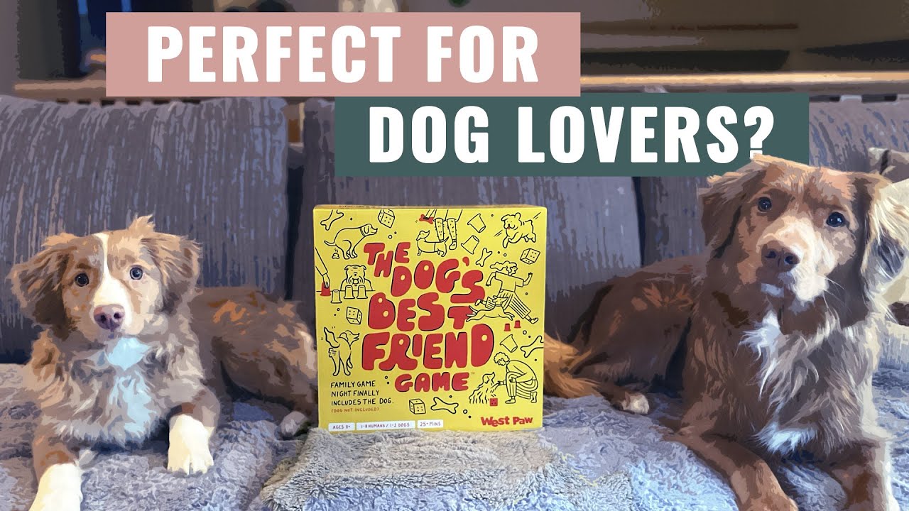 The Dog’s Best Friend Game REVIEW: A Must-Have for Dog Families?