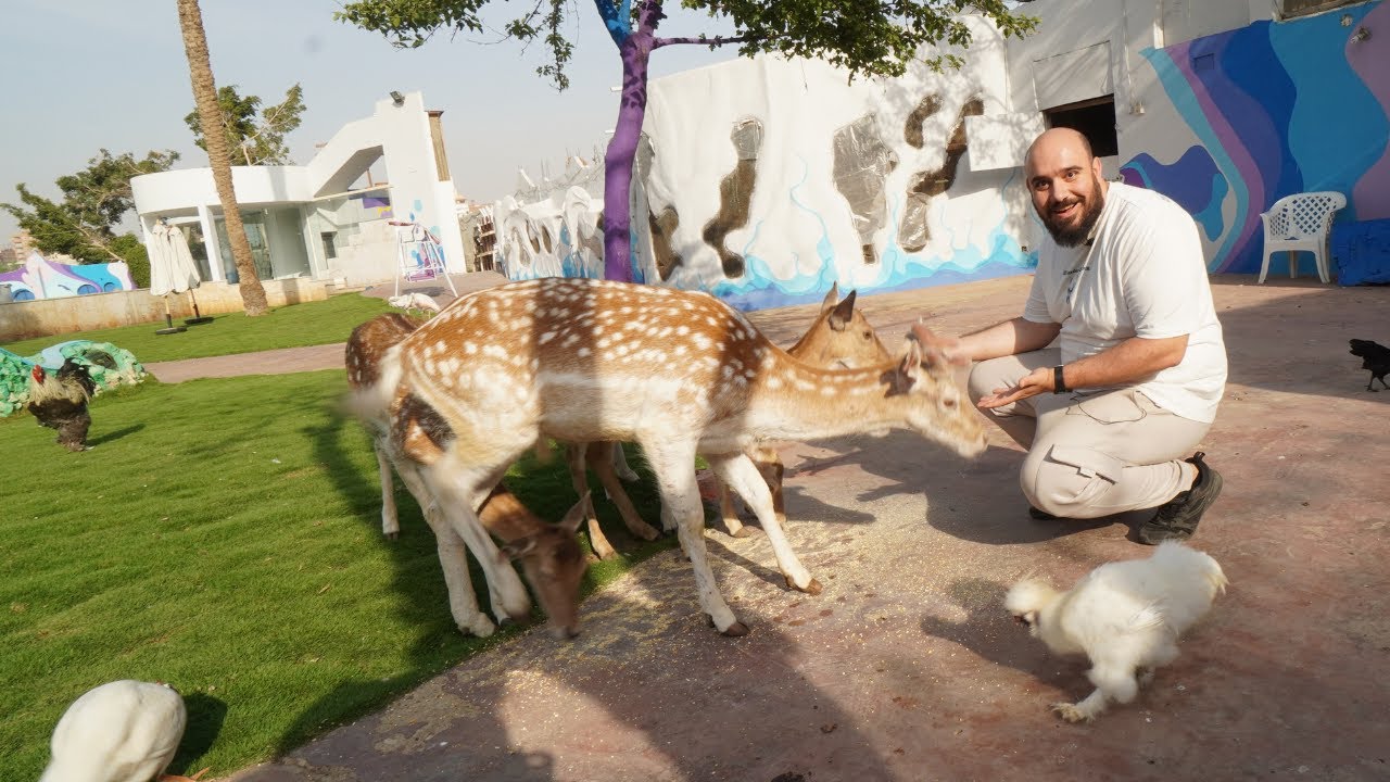 اغرب مكان تسكن فيه في مصر