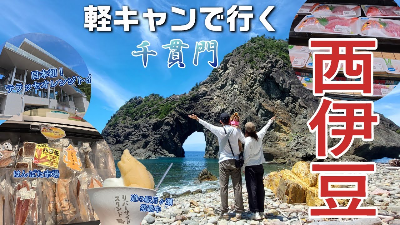 【犬旅 静岡西伊豆】見る価値あり！そびえ立つ巨岩の千貫門/港直送新鮮地魚の宝庫『はんばた市場』/日本初！観光兼避難タワー「テラッセオレンジトイ」が新しい