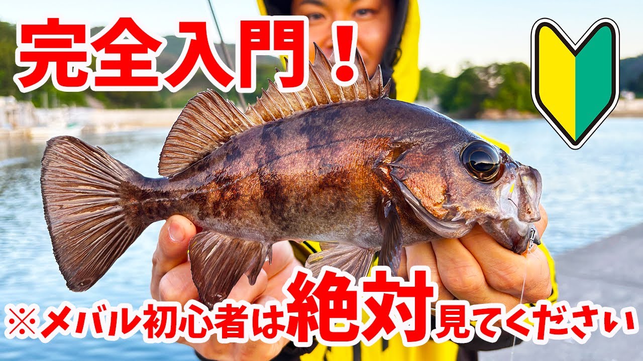 釣れる人はこう選ぶ！メバルタックル徹底解説【完全保存版】