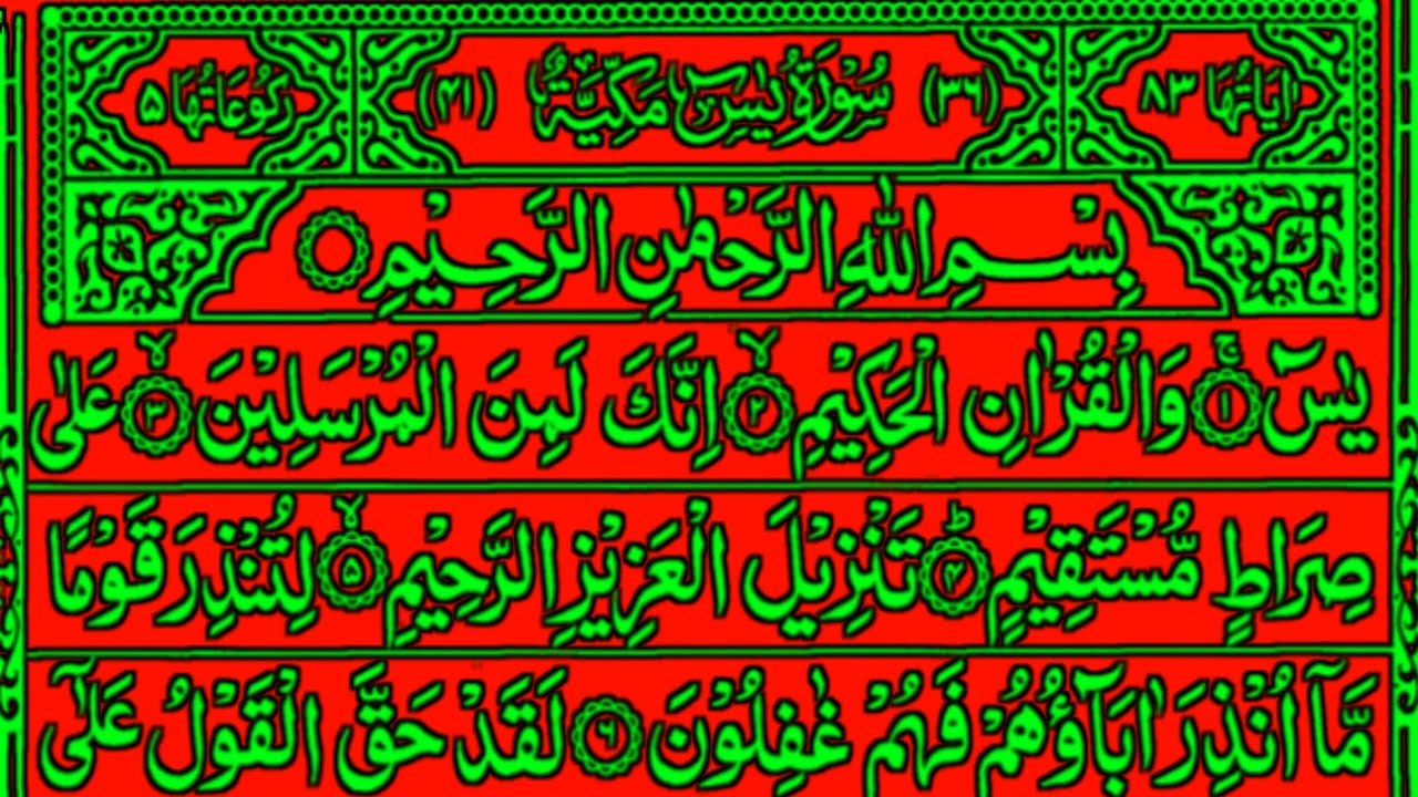Surah Yaseen ]✅ Ep-87 ] Best Qur'an recitation ] Surah Yaseen Ki tilawat ] Yaseen Surah ] Yaseen