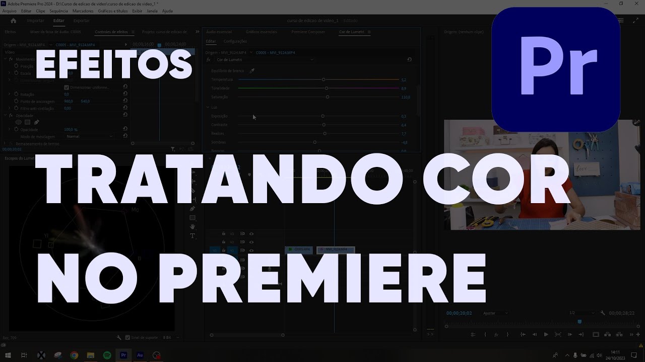 Como TRATAR IMAGEM no Premiere (TÉCNICA PARA PELE)