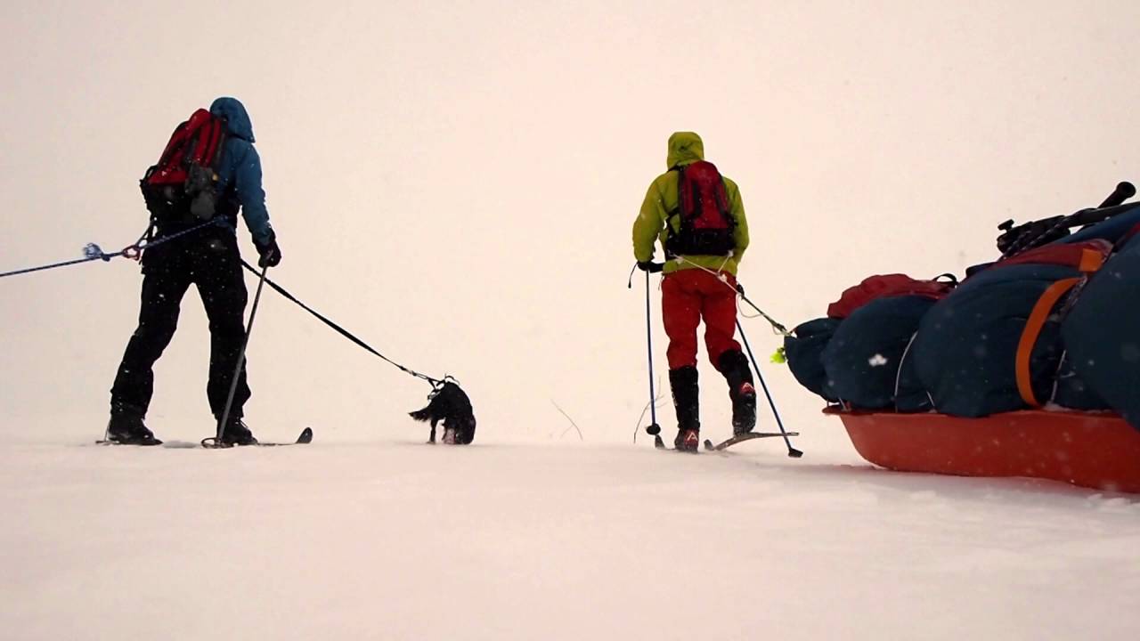 Med ski og pulk over Hardangervidda