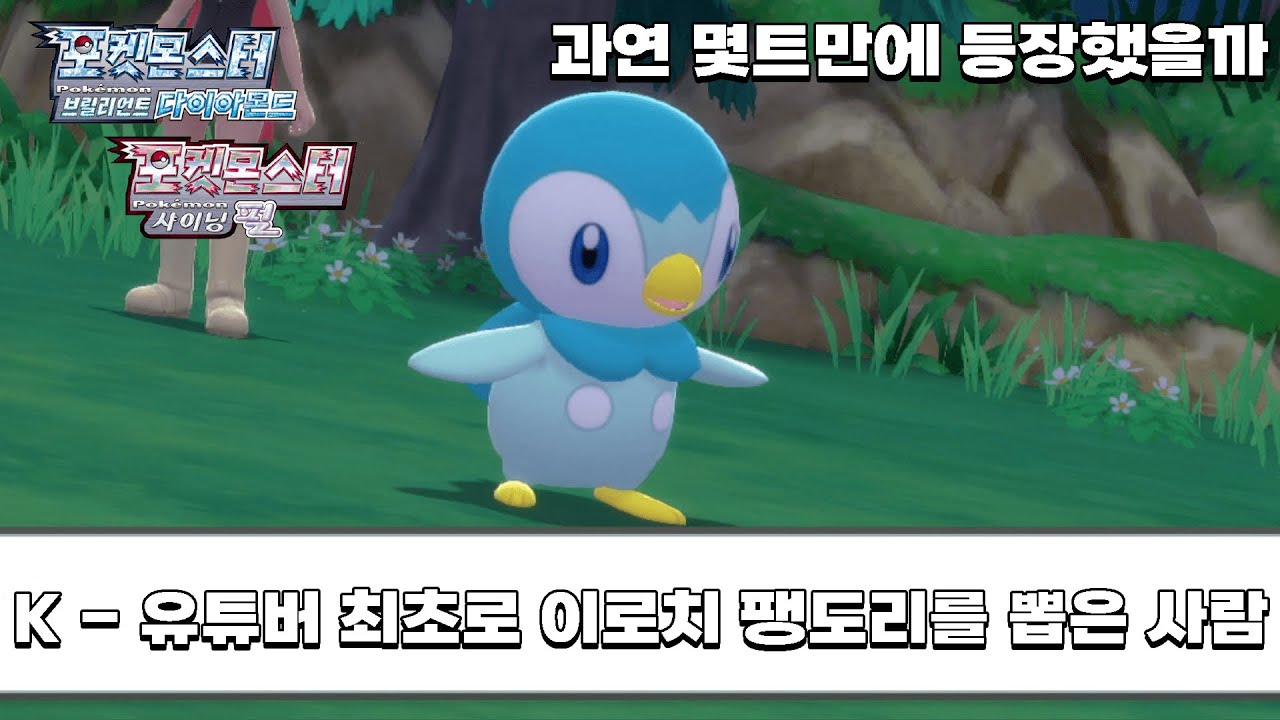 K - 유튜버 최초 이로치 팽도리를 뽑은 유튜버 [포켓몬스터 브릴리언트 다이아몬드 샤이닝 펄]