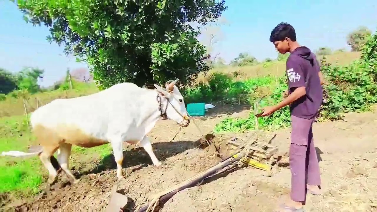 2ed block 🫶❤️#desiviilagelifetstyle #desi #viral #viralvideo #vlog 