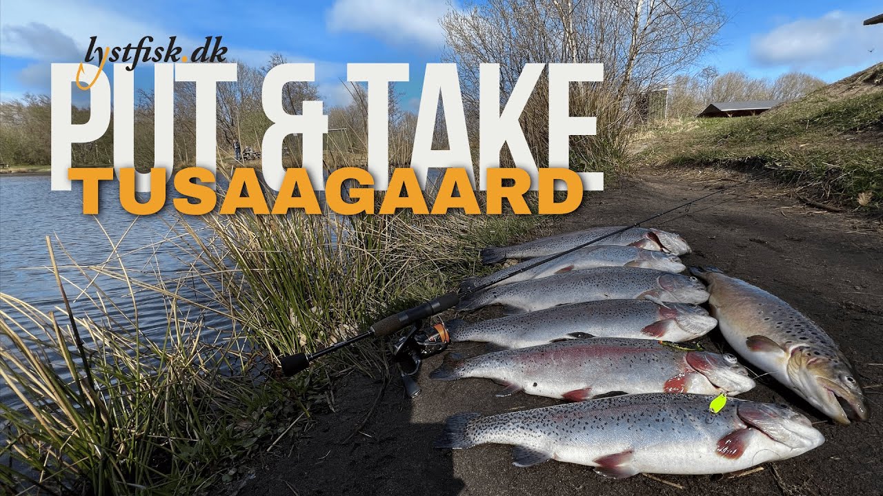 Put and Take fiskeri i Tusaagaard  - Mange agn skift - Mange fisk i søerne!