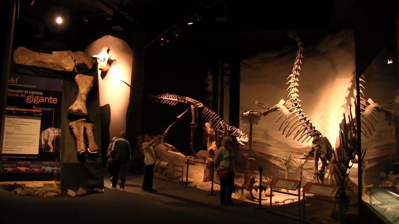 Giant fossils: Museo Paleontol&oacute;gico Egidio Feruglio  Trelew, Chubut, Argentinia