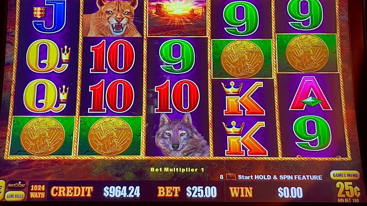 BIG, BIG BUFFALO LINK WINS #slotman #wow #win #casino #slots #chumashcasino #buffalolink #chumash