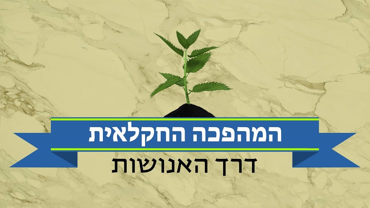 המהפכה החקלאית: דרך האנושות #1