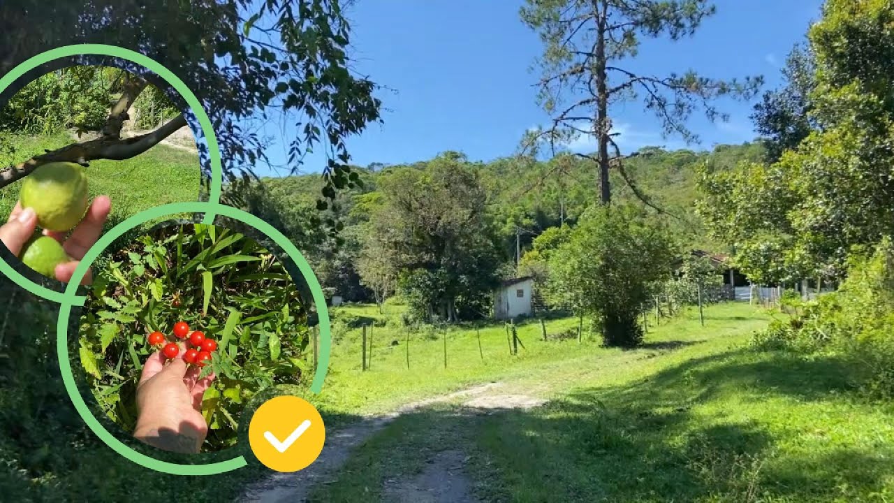Um passeio no sitio