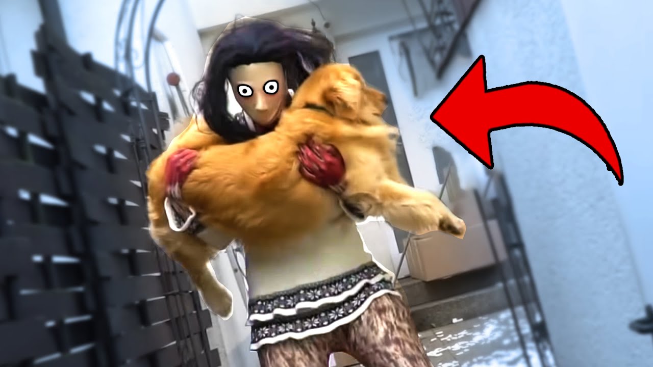 HUND LUCKY wird von XOXO GEKLAUT und ENTFÜHRT LUCKY wegen MASKE (Falle geht schief)