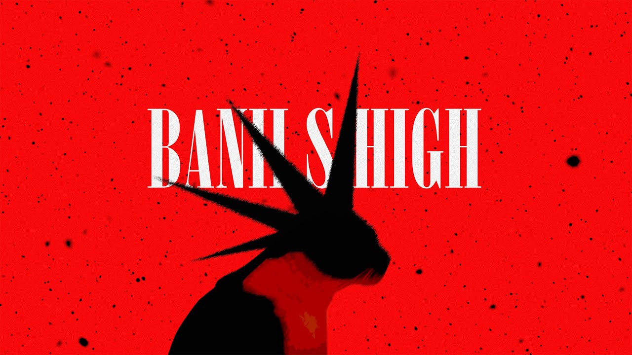 Kalin - BANII S HIGH (Official Visualizer)