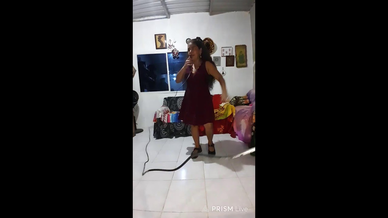 Transmisión en directo de Sandra La Santaneca