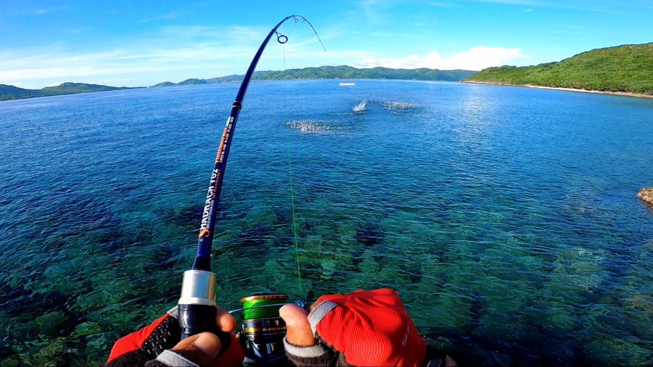 Minnow, Soft bait, Micro popper❗Kung Saan Mapapakagat Ang isda