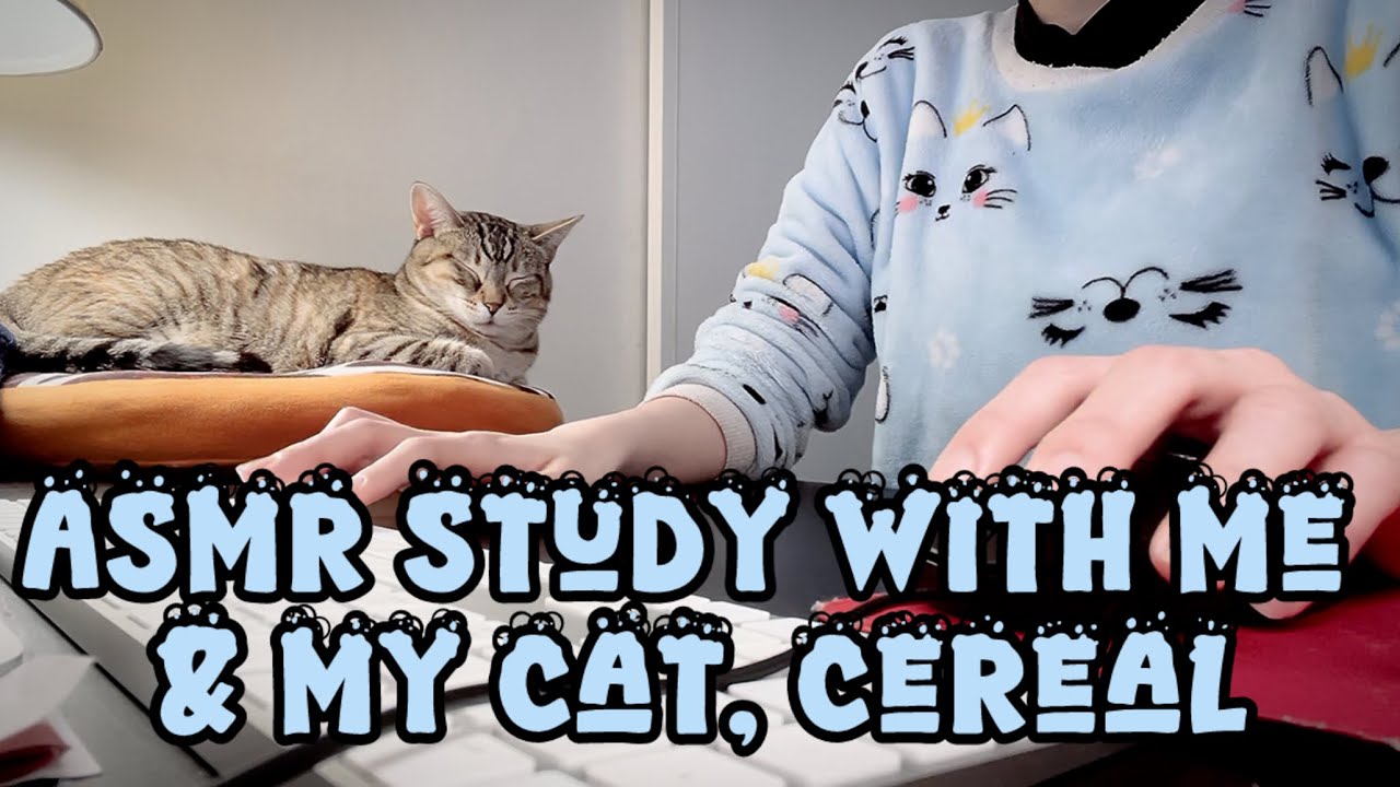 🐱🩵ASMR Study With Me and my cat, Cereal📚 Keyboard Typing & Cursor Clicking | Focus, No Talking
