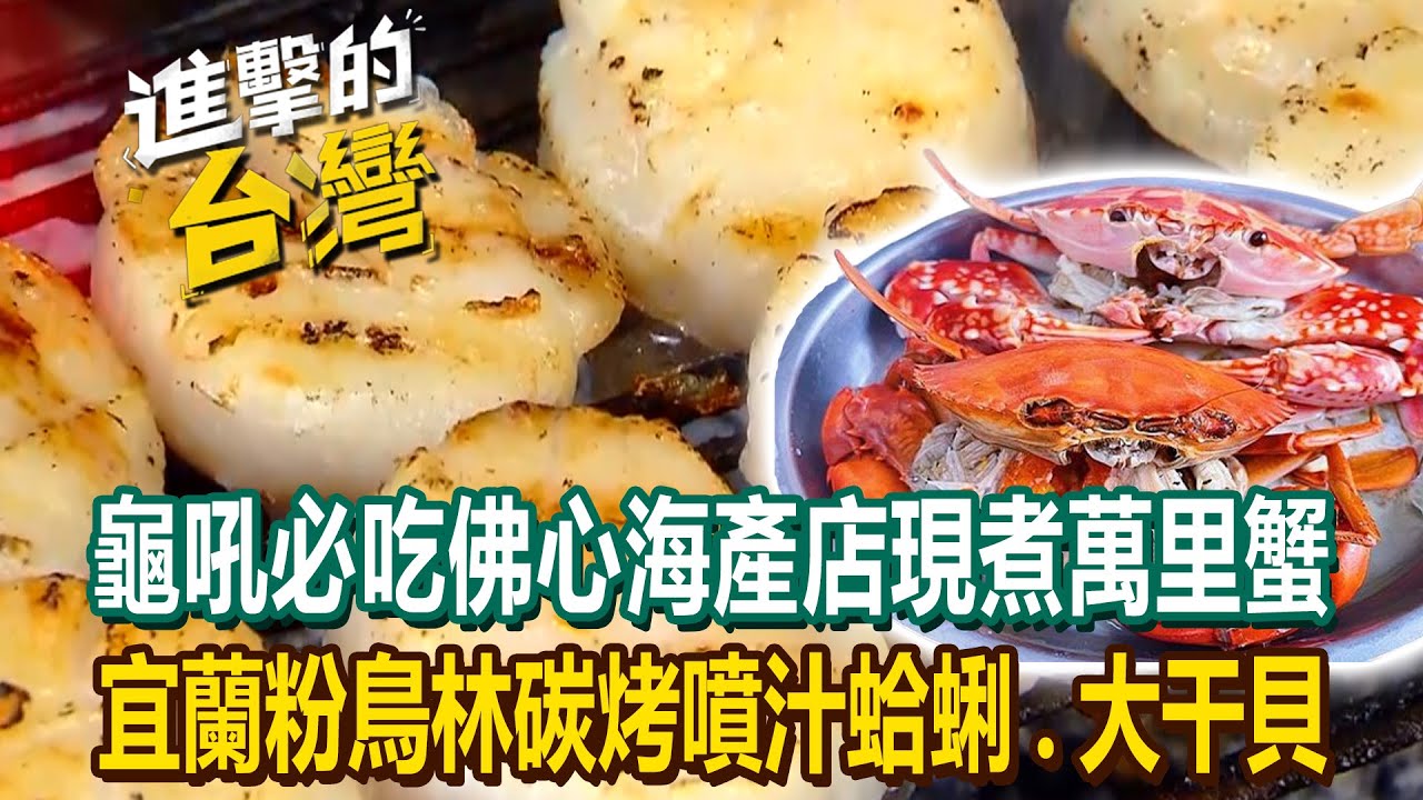 【2024最新】龜吼漁港必吃海產店「現煮大蝦、萬里蟹」佛心價！宜蘭粉鳥林碳烤海鮮「蛤蜊、大干貝」紮實肉質又爆汁！《進擊的台灣》第532集｜陳怡廷 (新北、台北、桃園、宜蘭必吃美食)
