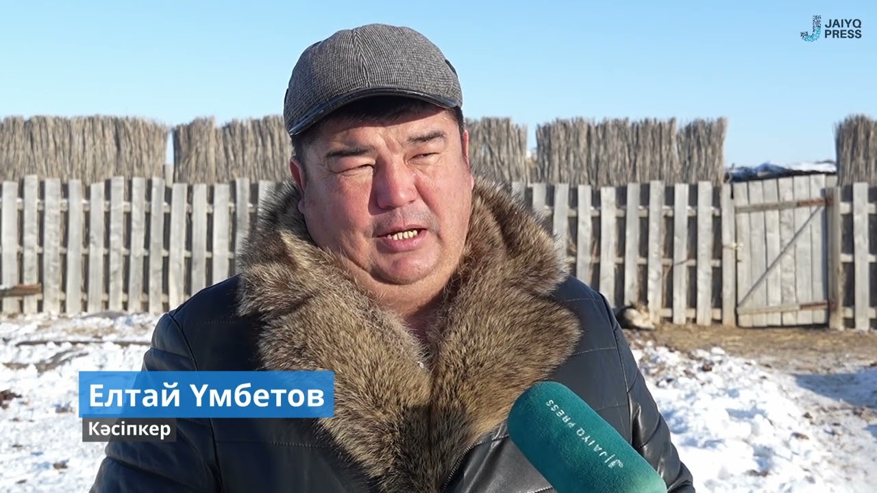 БҚО, Жаңақала ауданында кәсіпкерлік қарқынды дамуда
