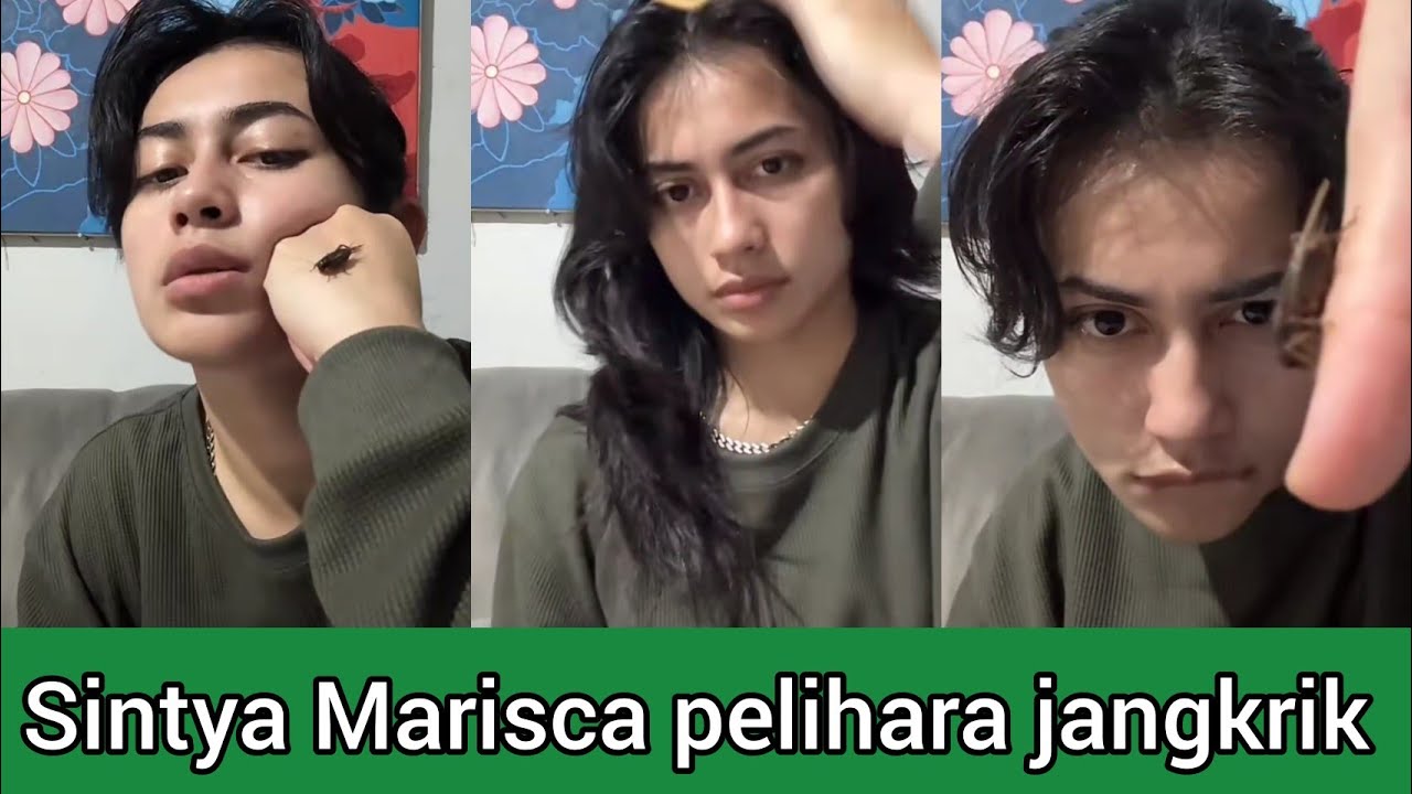 Sintya Marisca main sama jangkrik joget 🤣