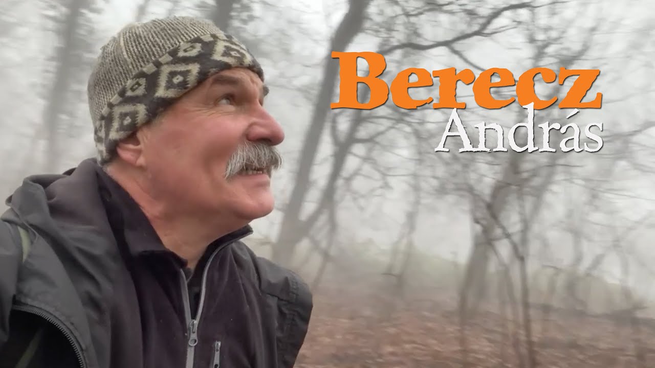 Berecz András | BUÉK