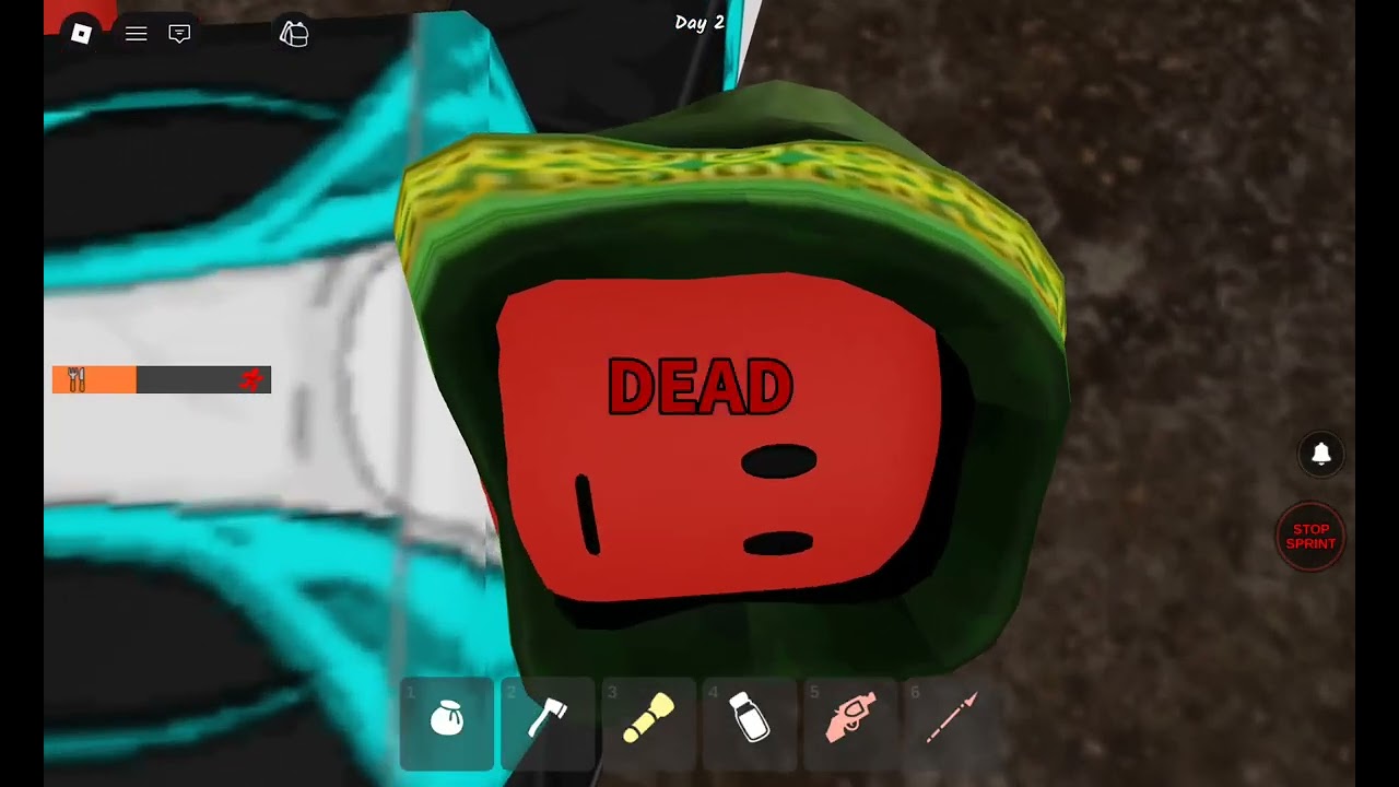 Me playing 99 night in the forest 