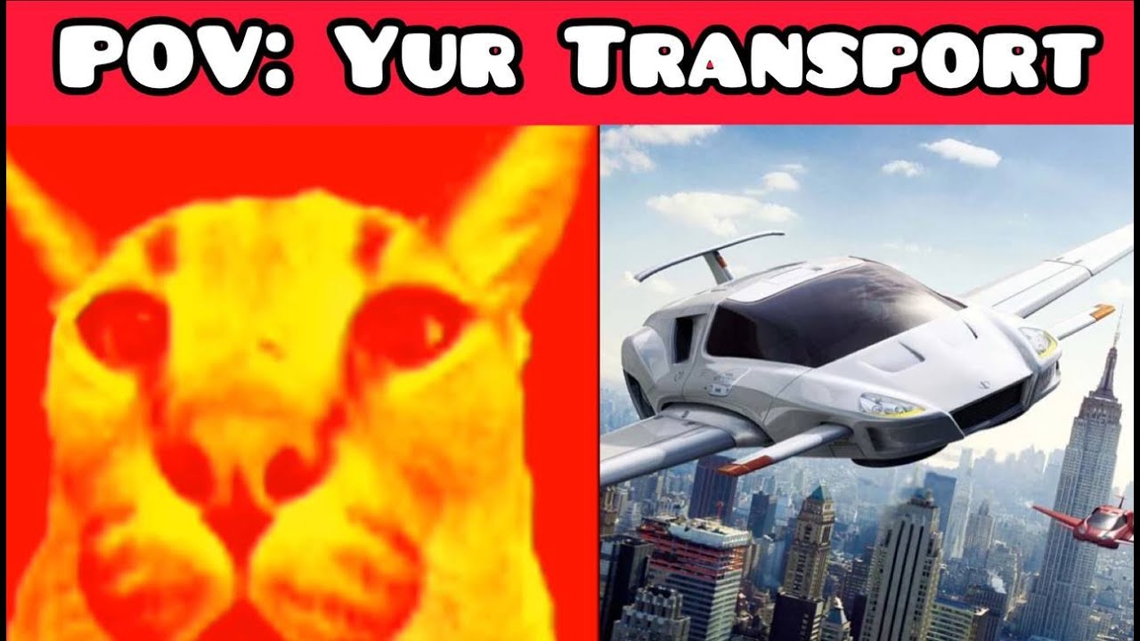 Floppa Becoming Old POV: YUOR TRANSPORT