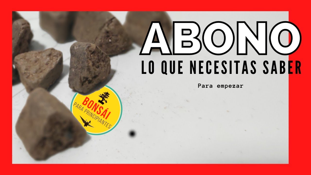 🤔🤔El abono de bonsái para principiantes // Qué abono usar para bonsái 🤷‍♀️🤷‍♀️