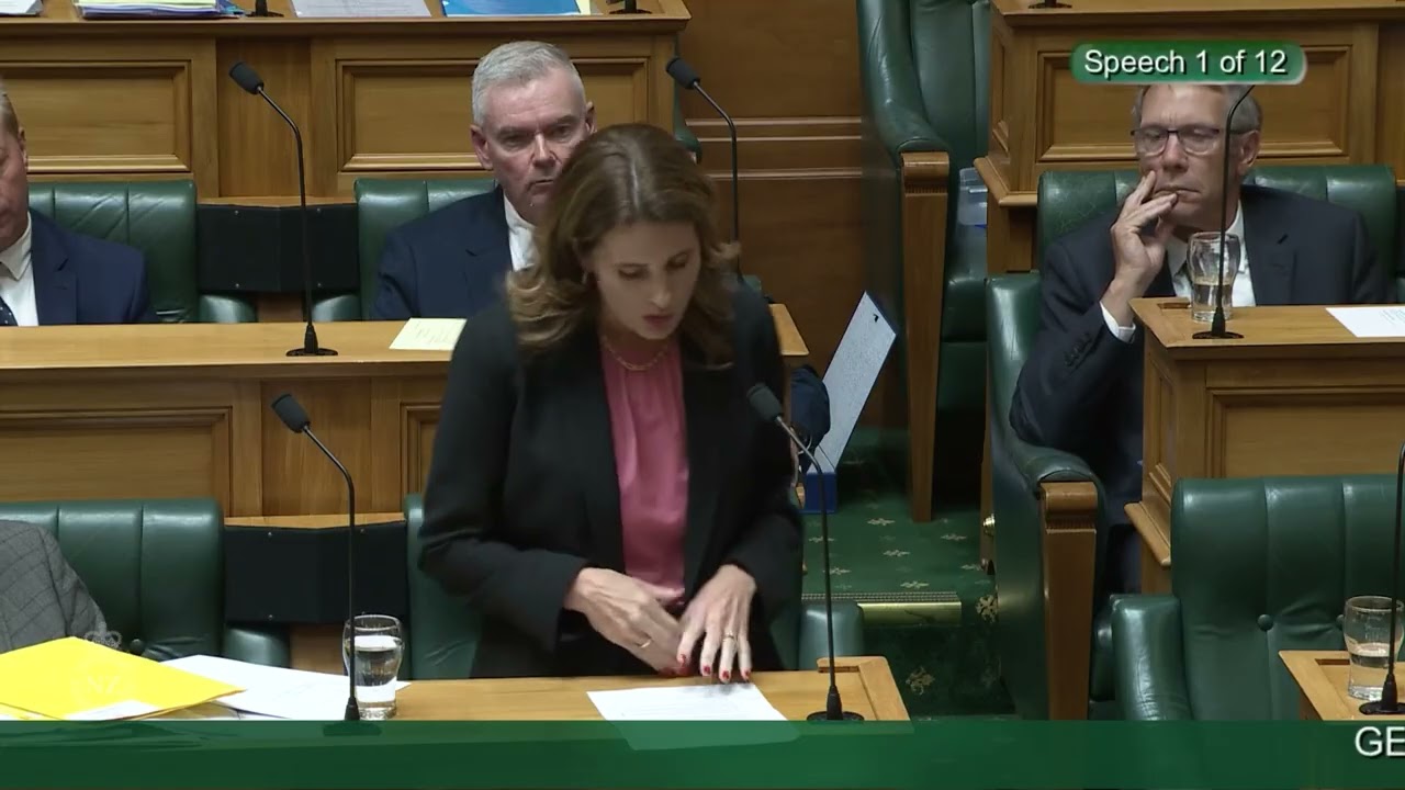 Nicola Willis delivers speech on conflict in Middle East