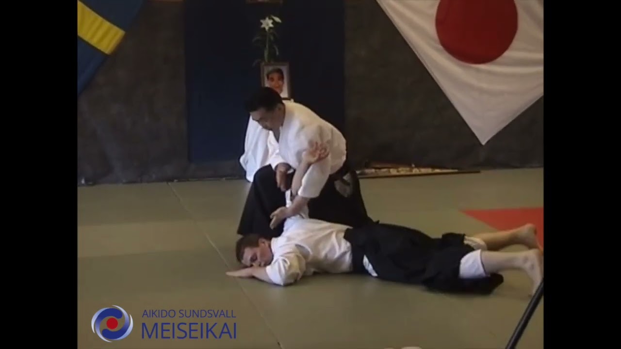 Aikido Gyaku Hanmi Nikyo Shishiya Sensei, Sundsvall unknown year
