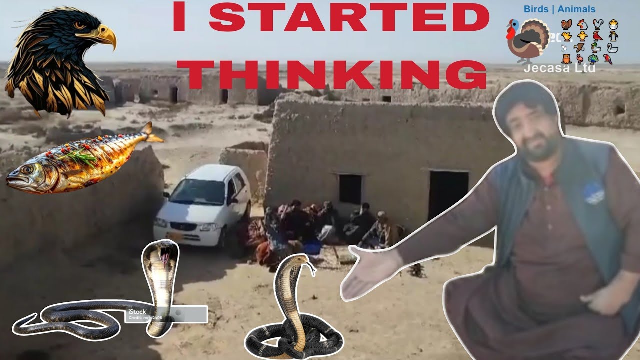 l STARTED THINKING 