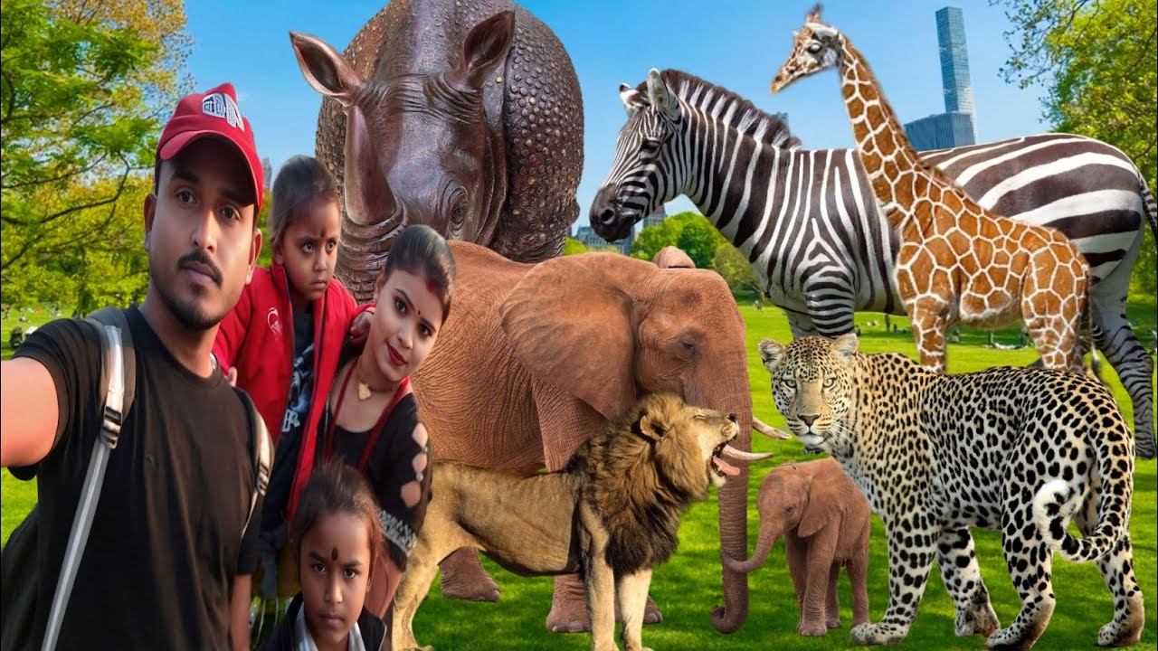 Delhi Zoo Vlog Video || Delhi chidiya ghar || All Animals Video Delhi Zoo #delhizoologicalpark