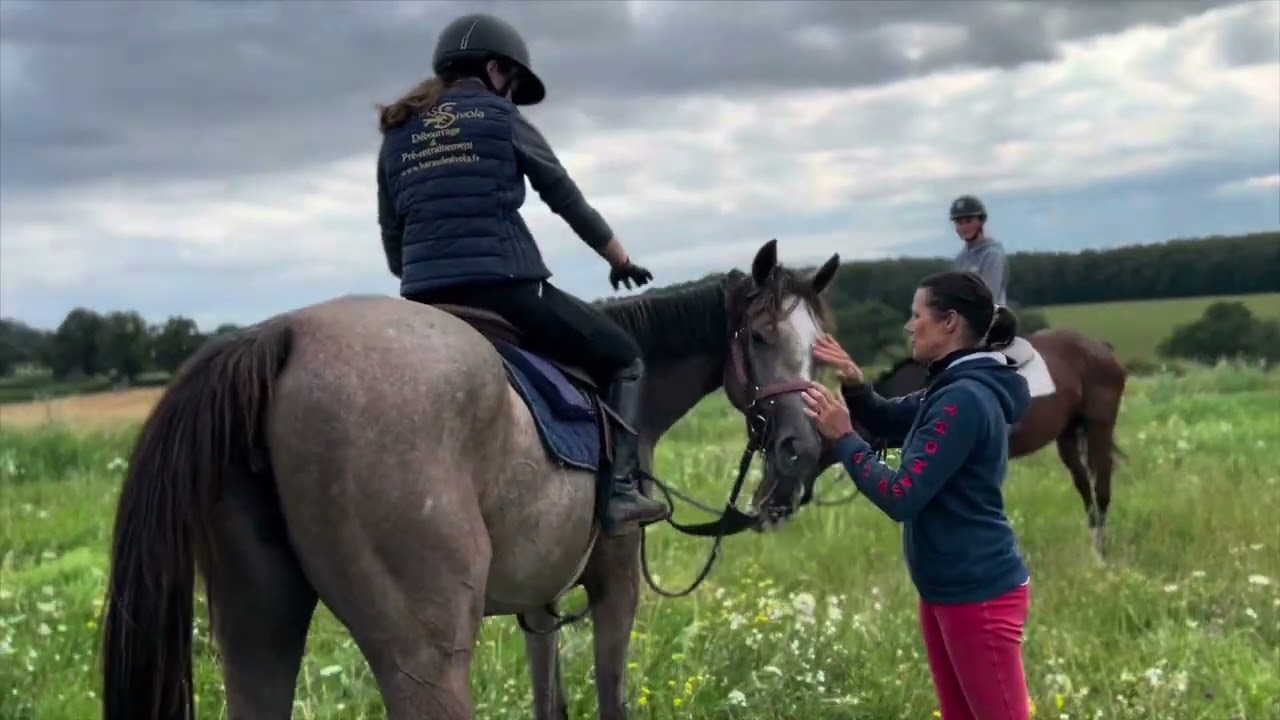 Une journée à l’écurie de pré-entrainement du Haras de Sivola
