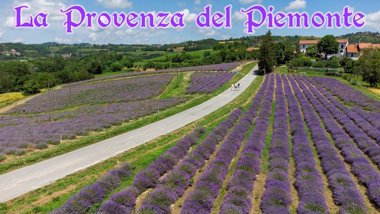 La Provenza del Piemonte: Sale San Giovanni, Cuneo | Drone 4K
