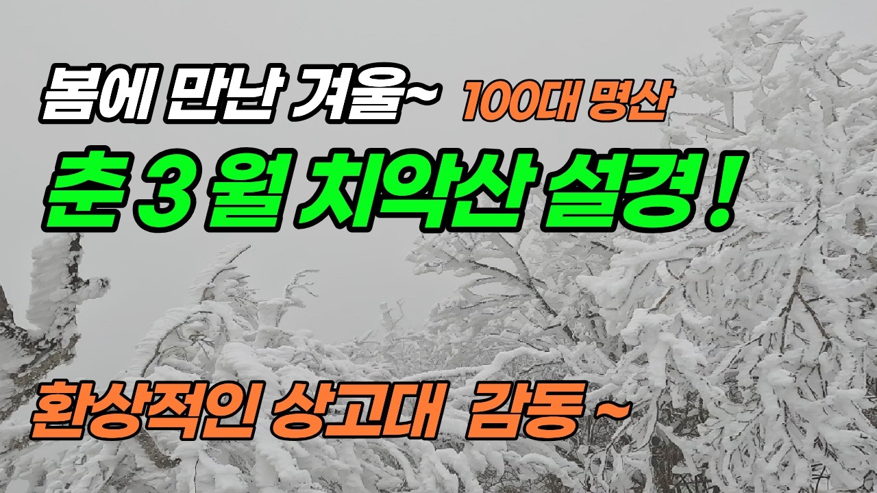 2026년 3월6일 100대 명산! 치악산 비로봉/춘 3월 봄에 만난 환상적인 눈꽃산행. 대박 ! 감동!