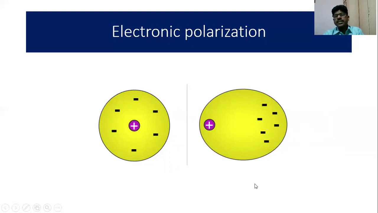 AP Unit 5 Lecture 02 Types of Polarization