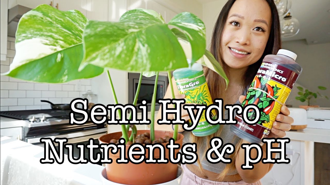 SEMI HYDROPONICS NUTRIENTS AND PH