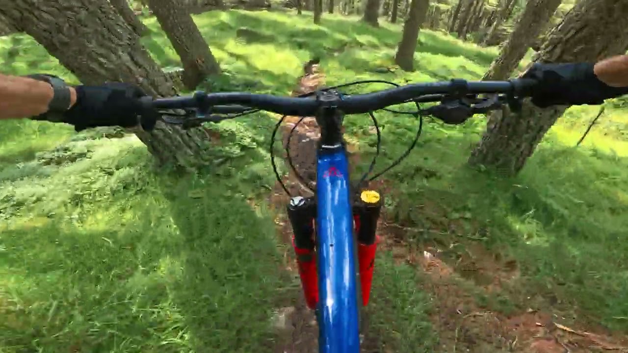 sacrifice dunkeld atholl hill mtb trail