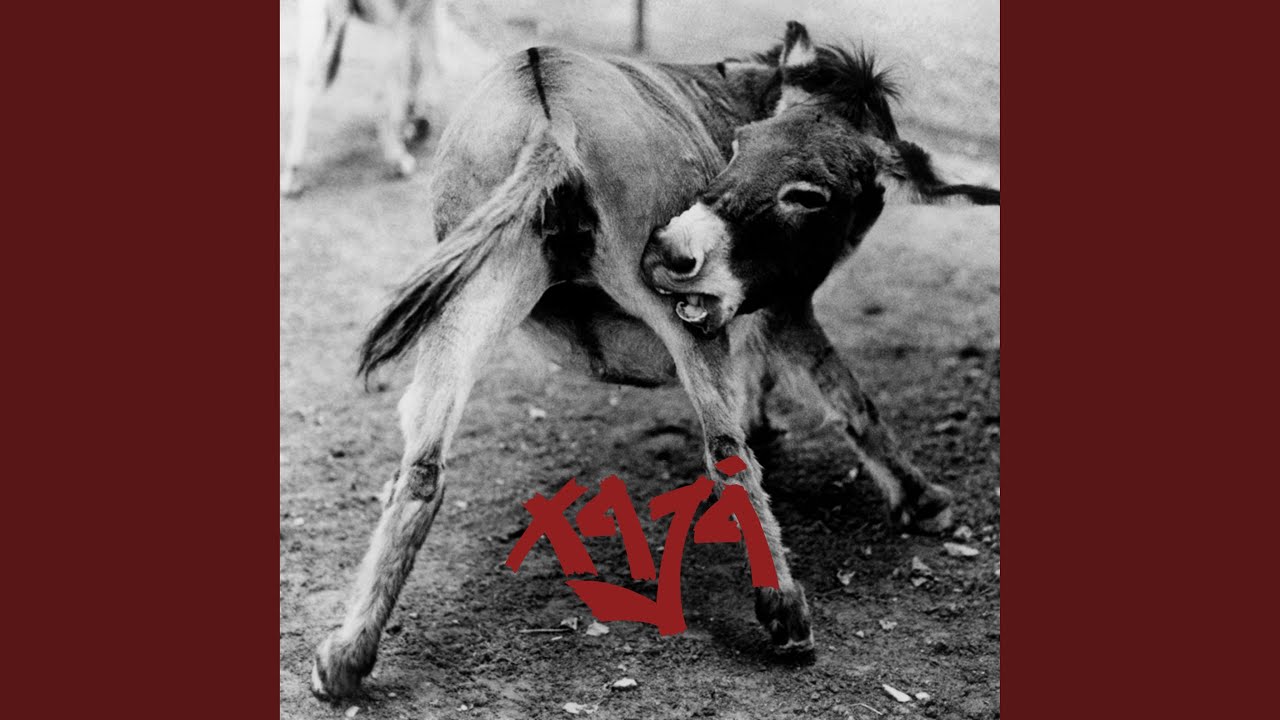 Born to Be Alive