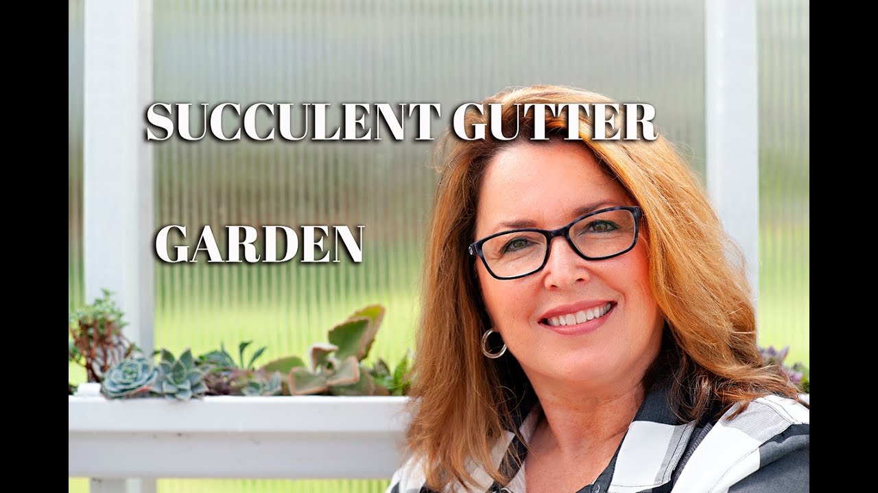 Succulent Gutter Garden