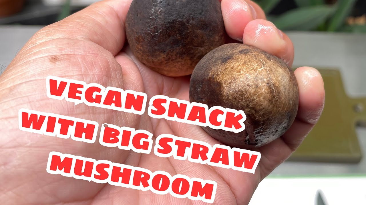 Vegan Snack with Straw Mushroom