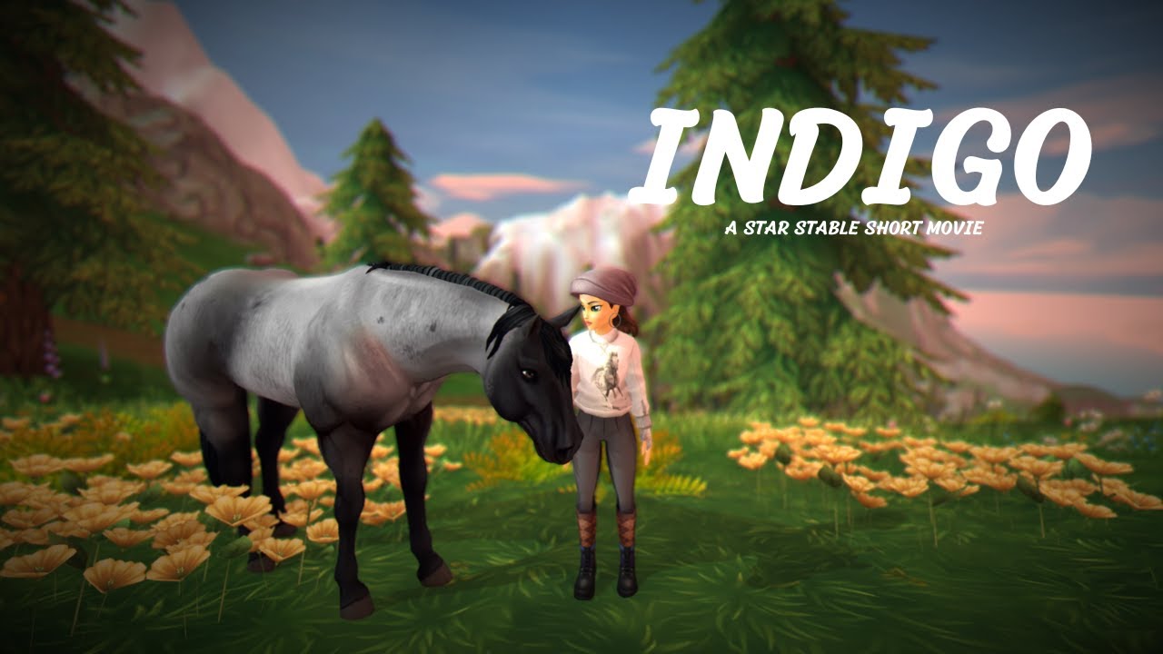 Indigo Movie|| SSO Short Movie