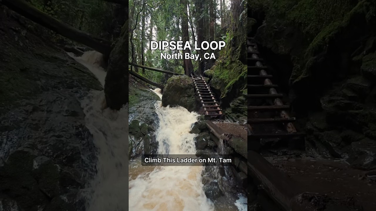 Steep Ravine Ladder Climb on Mt. Tam (Dipsea Loop)