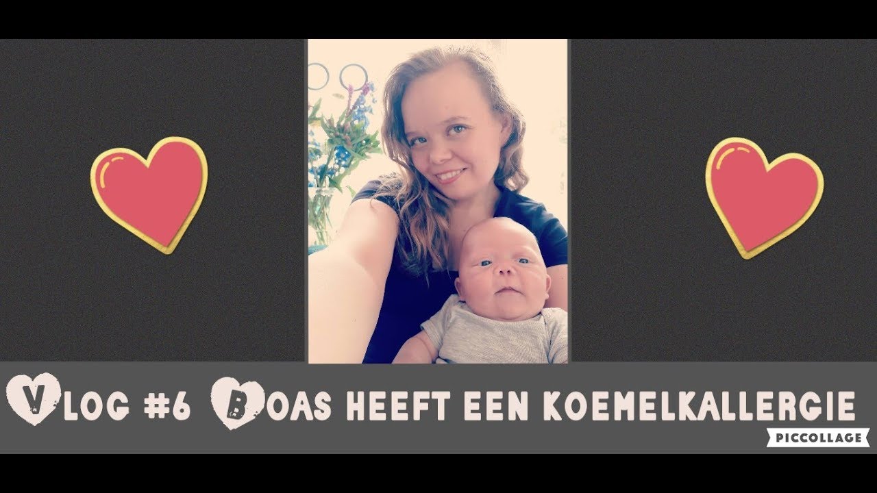 Vlog #6  Boas heeft koemelkallergie