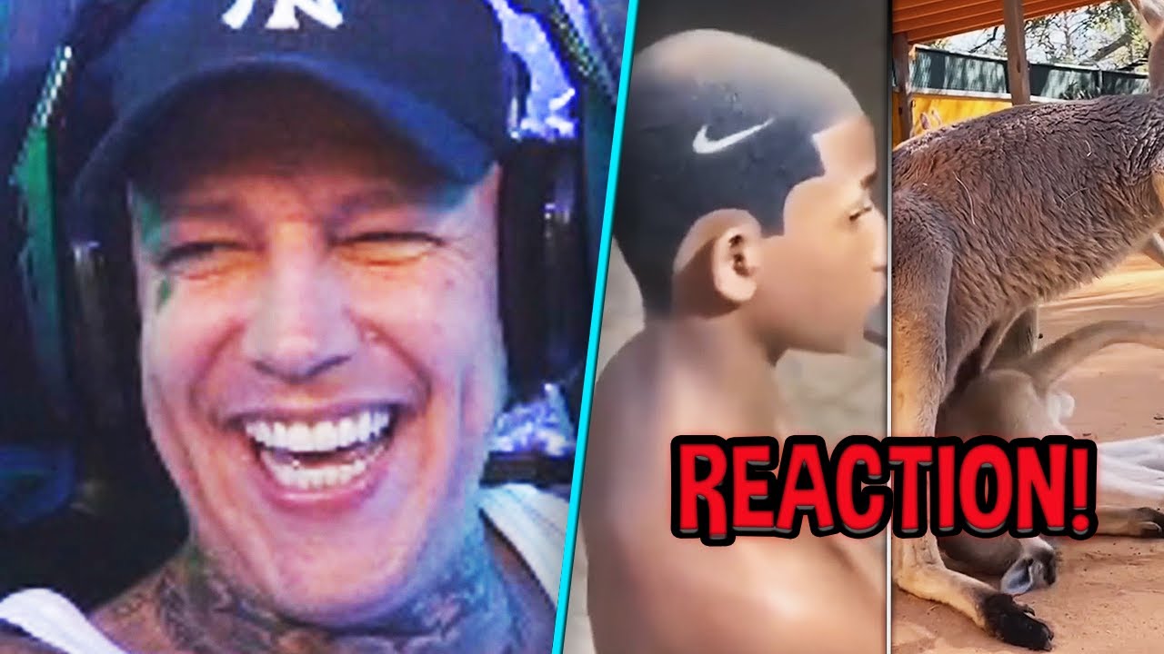 Monte REAGIERT auf UNUSUAL MEMES! 😂 MontanaBlack Reaktion