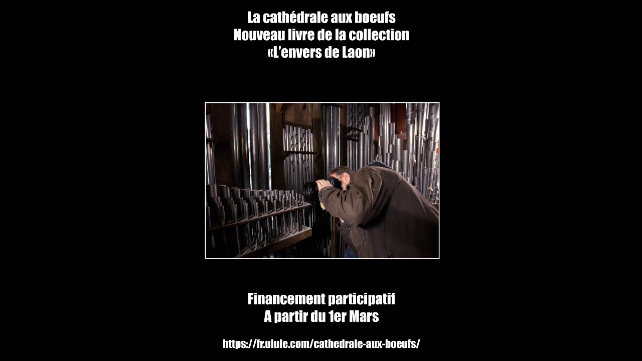 Making of - la cath&eacute;drale aux boeufs (Laon)