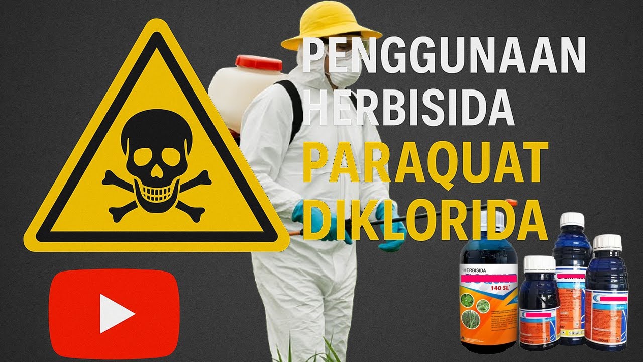 Mengenal Herbisida Parakuat: Herbisida Kontroversial di Dunia Pertanian.