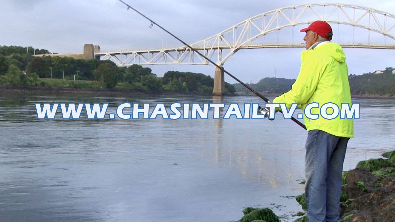 Полосатый окунь из канала Кейп-Код | Chasin' Tail TV