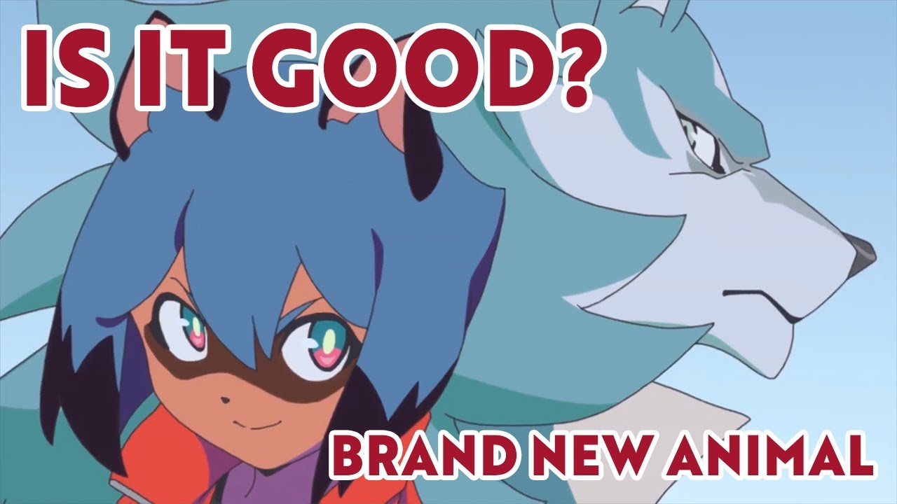Is BNA Good?