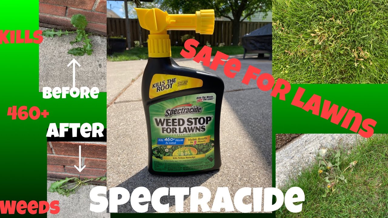 Spectracide Weed Killer For Lawns