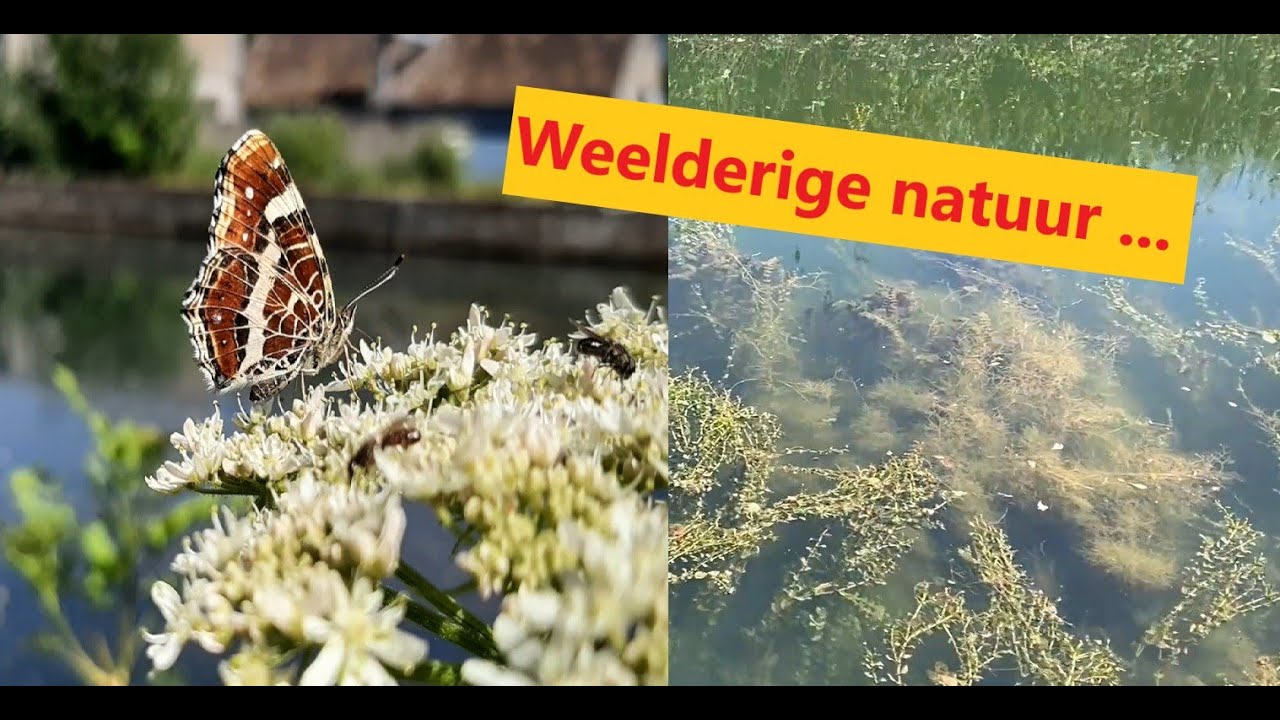 Varen van Parijs: #20 Chauny-Sissy